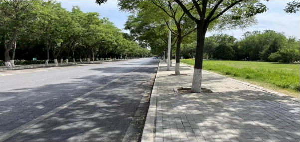 【市政 · 讯】实地踏勘慢行绿道工程 优化市民出行环境